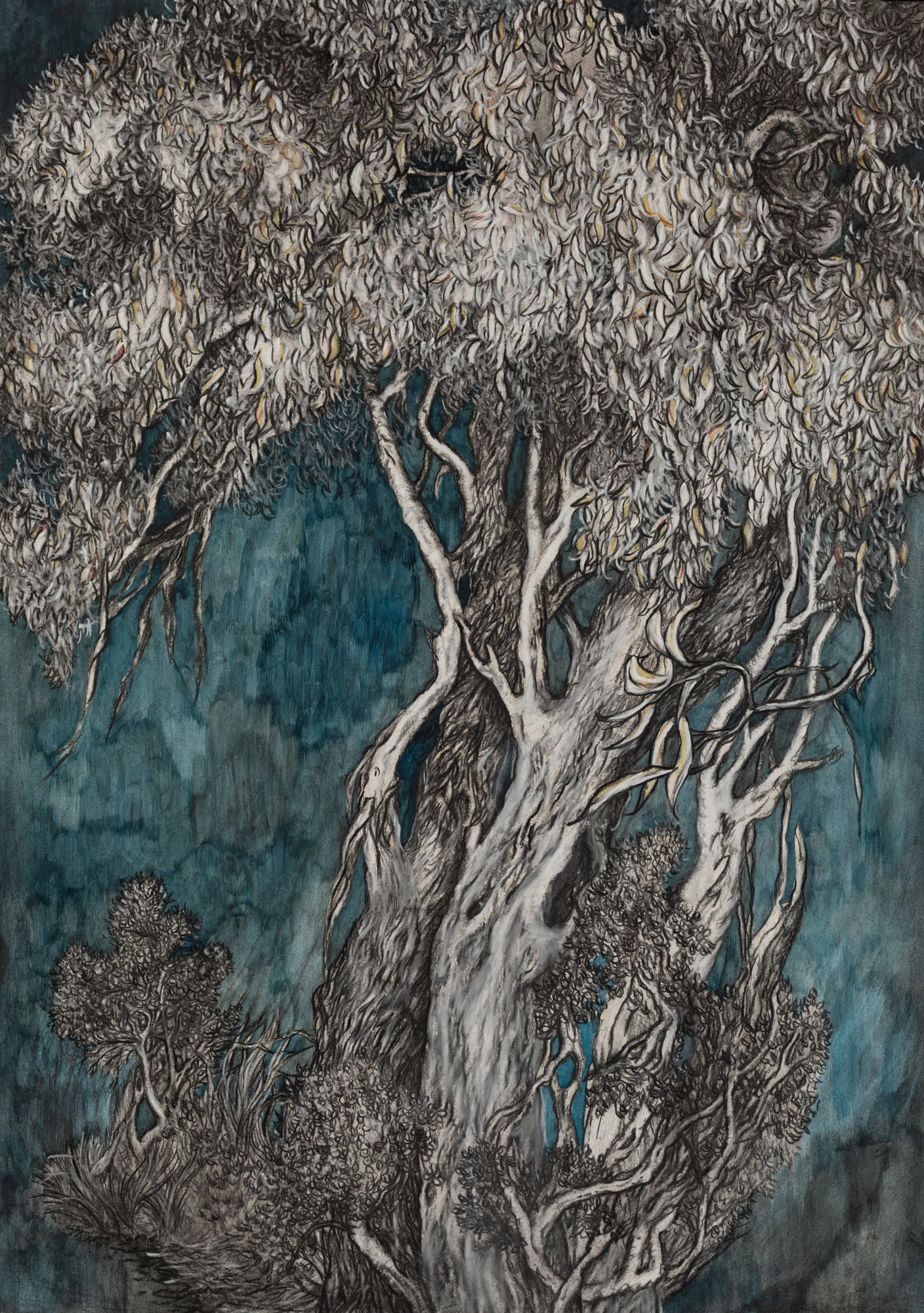 Old eucalypt shedding its bark, understorey